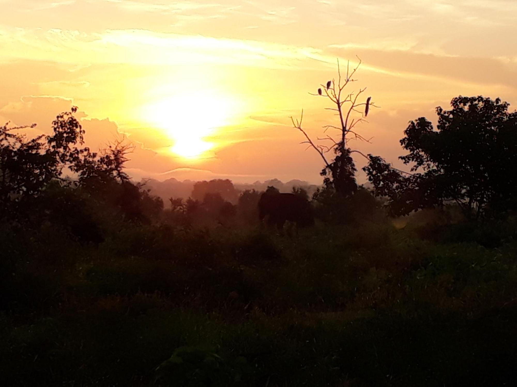 Elephant Paradise Safari Bungalow Ξενοδοχείο Udawalawe Εξωτερικό φωτογραφία